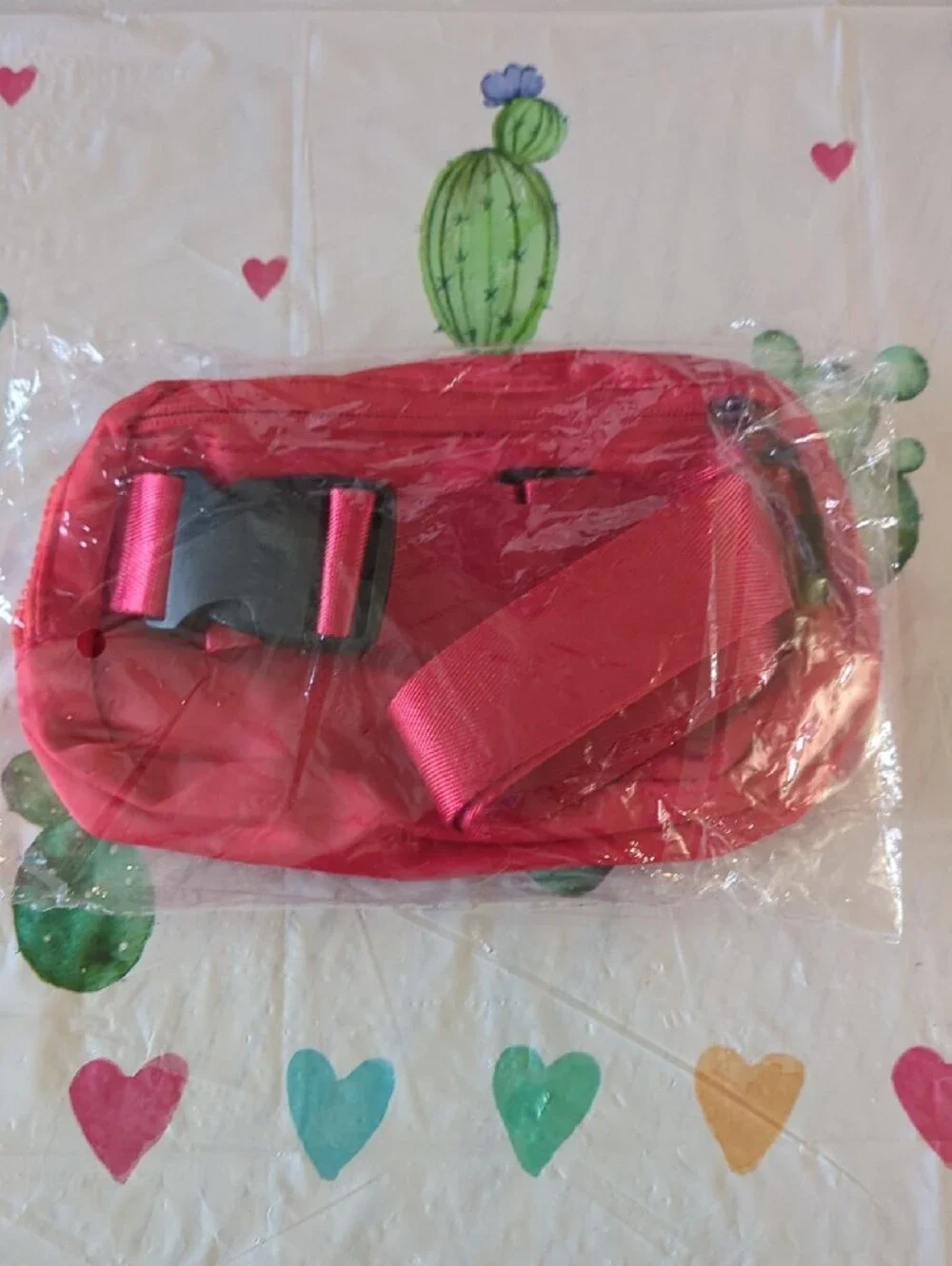 Doordash Bag